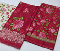 BIN SAEED 3 Piece Printed Lawn
